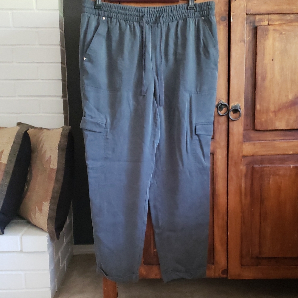 Womens Banana Republic Slate Gray Cargo Pants L